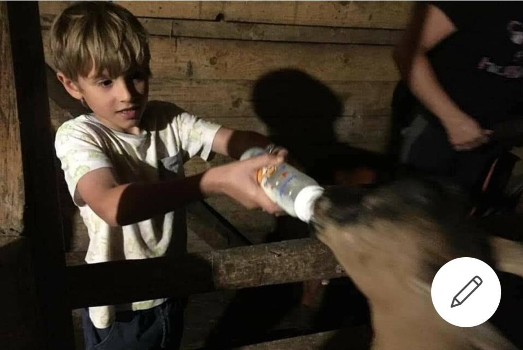 Вілла Mala Farma Nani Вісоко Екстер'єр фото