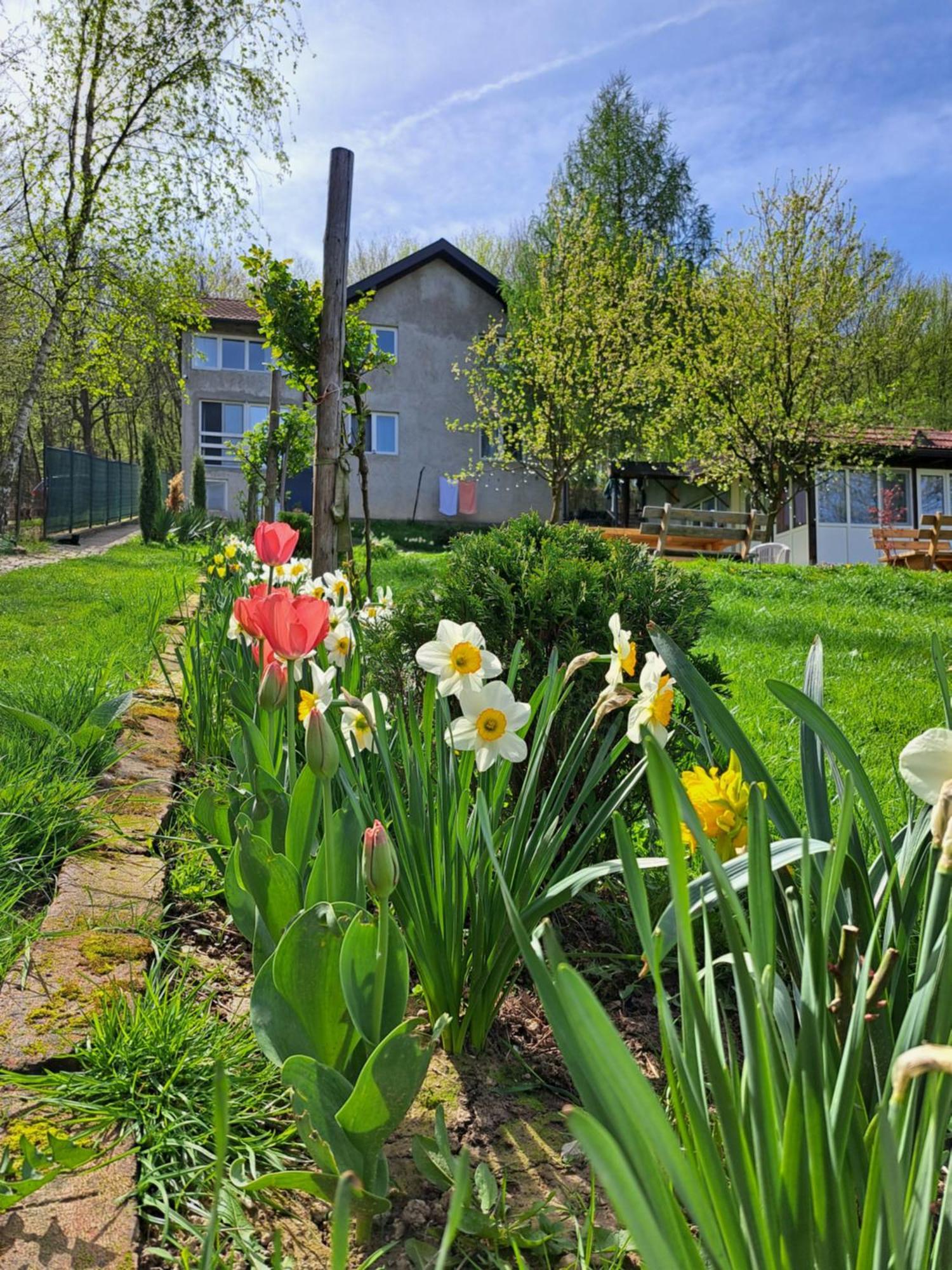 Вілла Mala Farma Nani Вісоко Екстер'єр фото